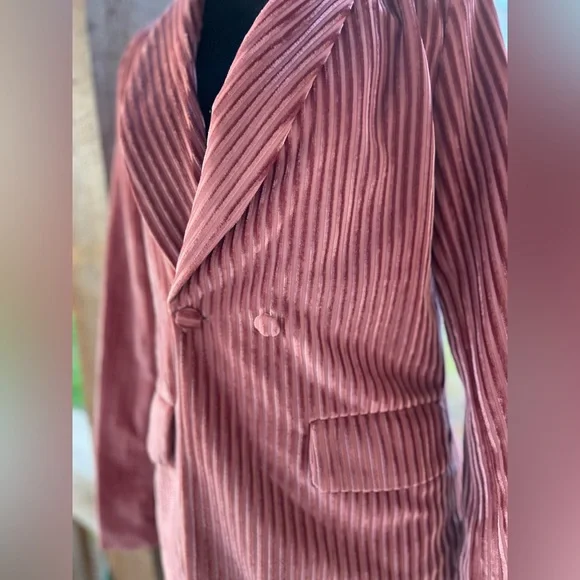 Nasty Gal Collection Pink Crushed Velvet Ribbed Double Breasted Lined Blazer NWT - Picture 4 of 10
